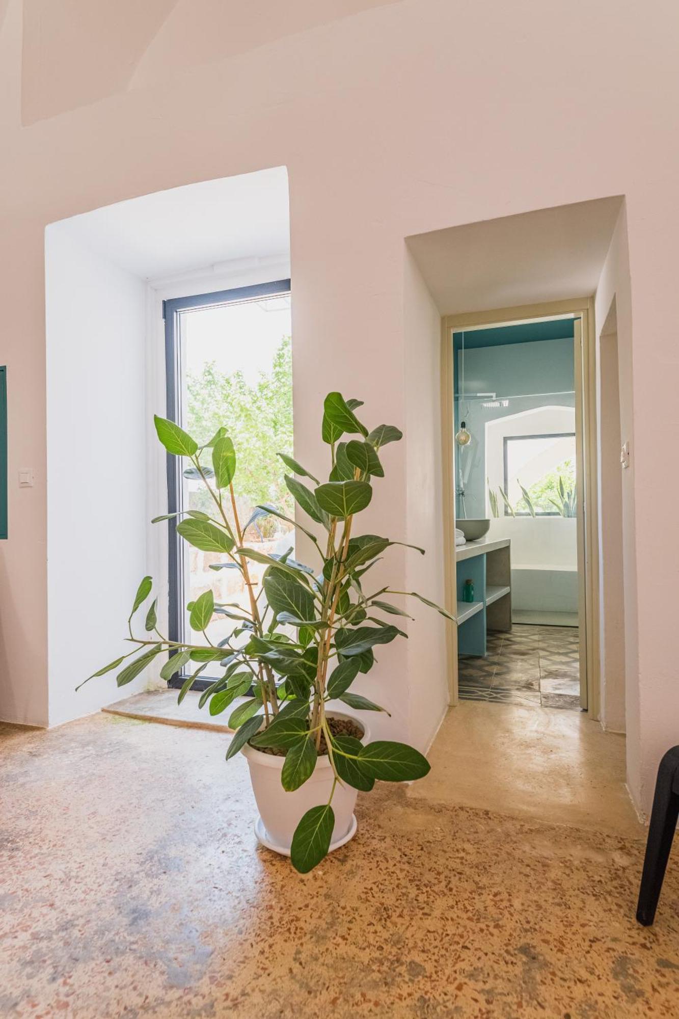プレシッチェ Casa Delle Rondiniヴィラ エクステリア 写真