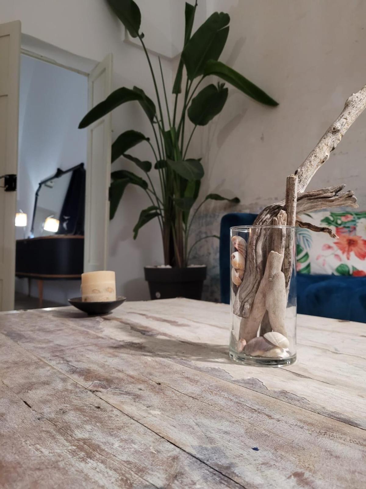 プレシッチェ Casa Delle Rondiniヴィラ エクステリア 写真